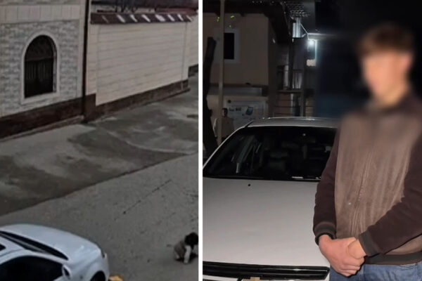 «Испугался и уехал»: школьник сбил пятилетнюю девочку и попытался скрыться с места происшествия