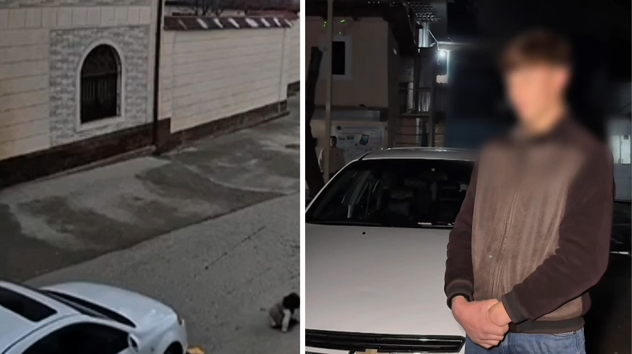 «Испугался и уехал»: школьник сбил пятилетнюю девочку и попытался скрыться с места происшествия