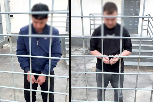 Живодёры отделались всего лишь арестом: в Бостанлыке вынесли приговор по резонансному делу об издевательствах над кошками