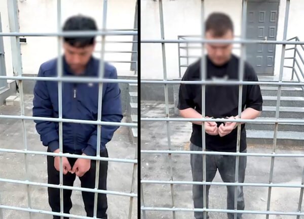 Живодёры отделались всего лишь арестом: в Бостанлыке вынесли приговор по резонансному делу об издевательствах над кошками Живодёры отделались всего лишь арестом: в Бостанлыке вынесли приговор по резонансному делу об издевательствах над кошками