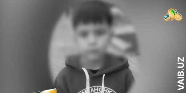 В Ангрене сообщили о гибели 8-летнего ребёнка после нападения бродячих собак – официальных комментариев пока нет