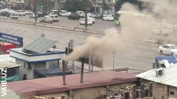 Шашлык с дымком для всего района: в Ташкенте наказали владельца кафе