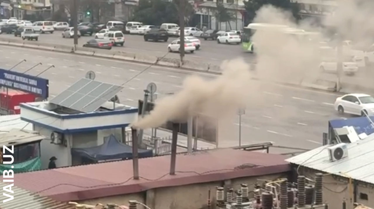 Шашлык с дымком для всего района: в Ташкенте наказали владельца кафе