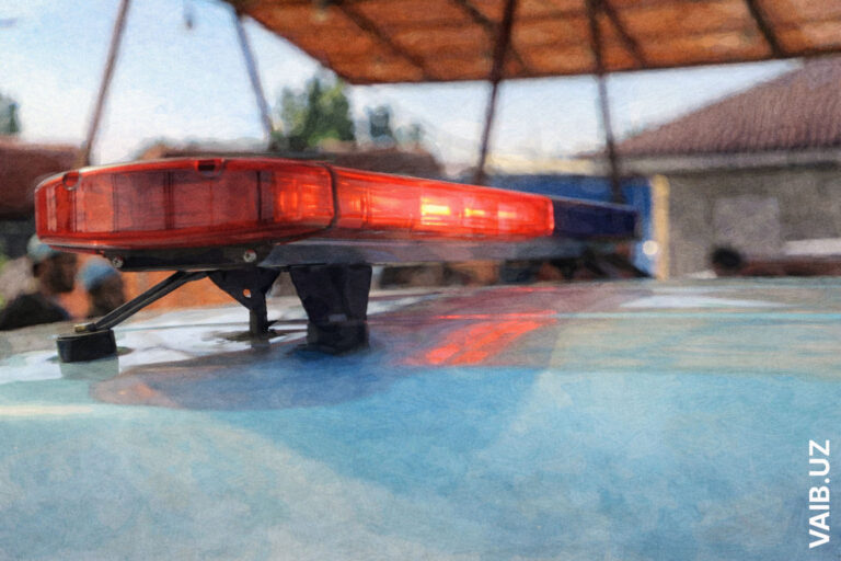 Участница программы культурного обмена из Узбекистана подверглась домогательствам в принимающей семье в США