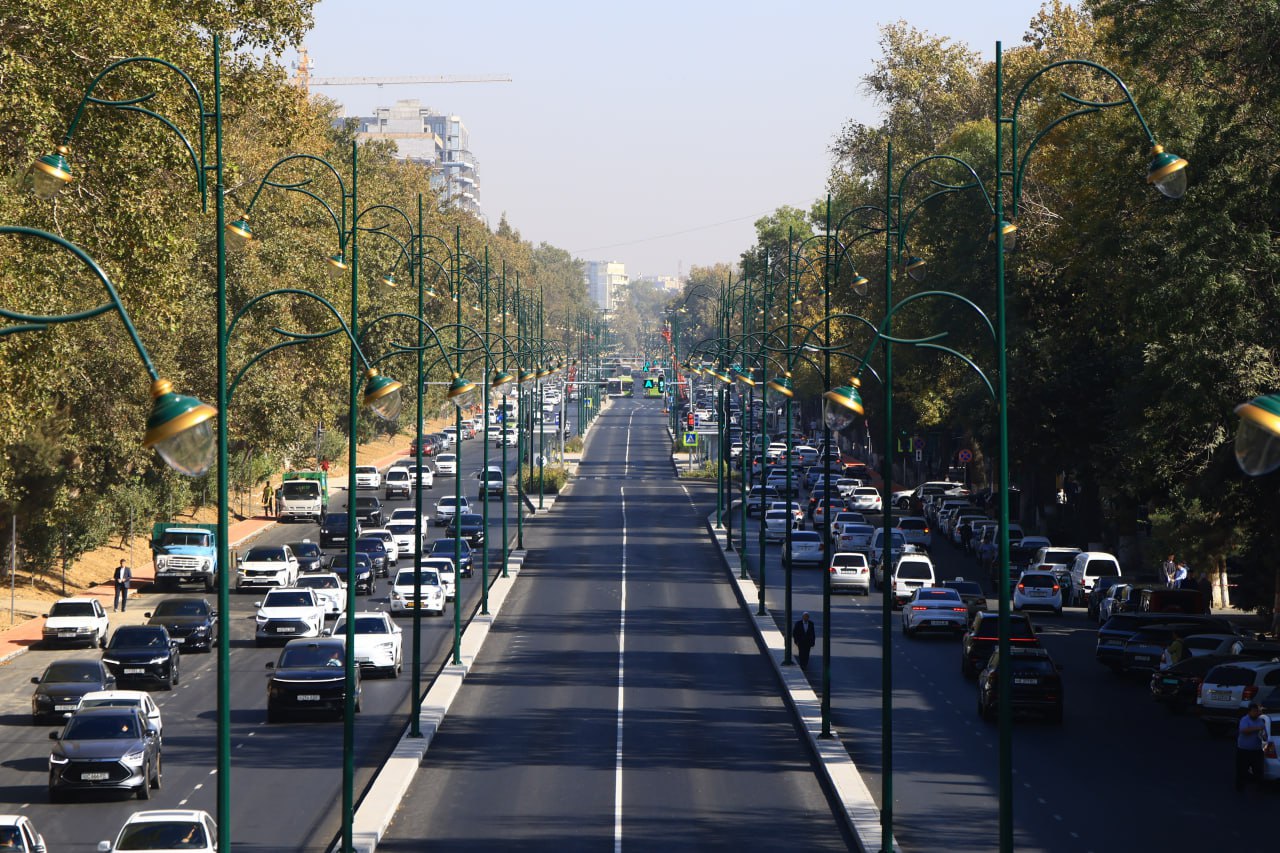 Дорога будущего или очередной «суперпроект»? Между Ташкентом и Нурафшаном хотят запустить BRT