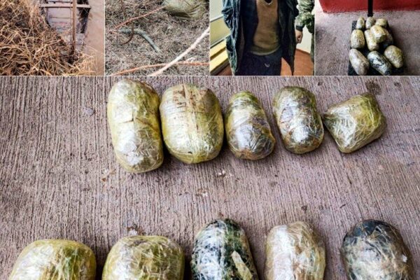 Лодка, Амударья и 10 кг гашиша: чем закончился «рейс» из Афганистана