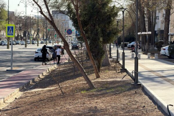 Погода решила не скучать на выходных: сначала почти лето, потом дождь и ветер