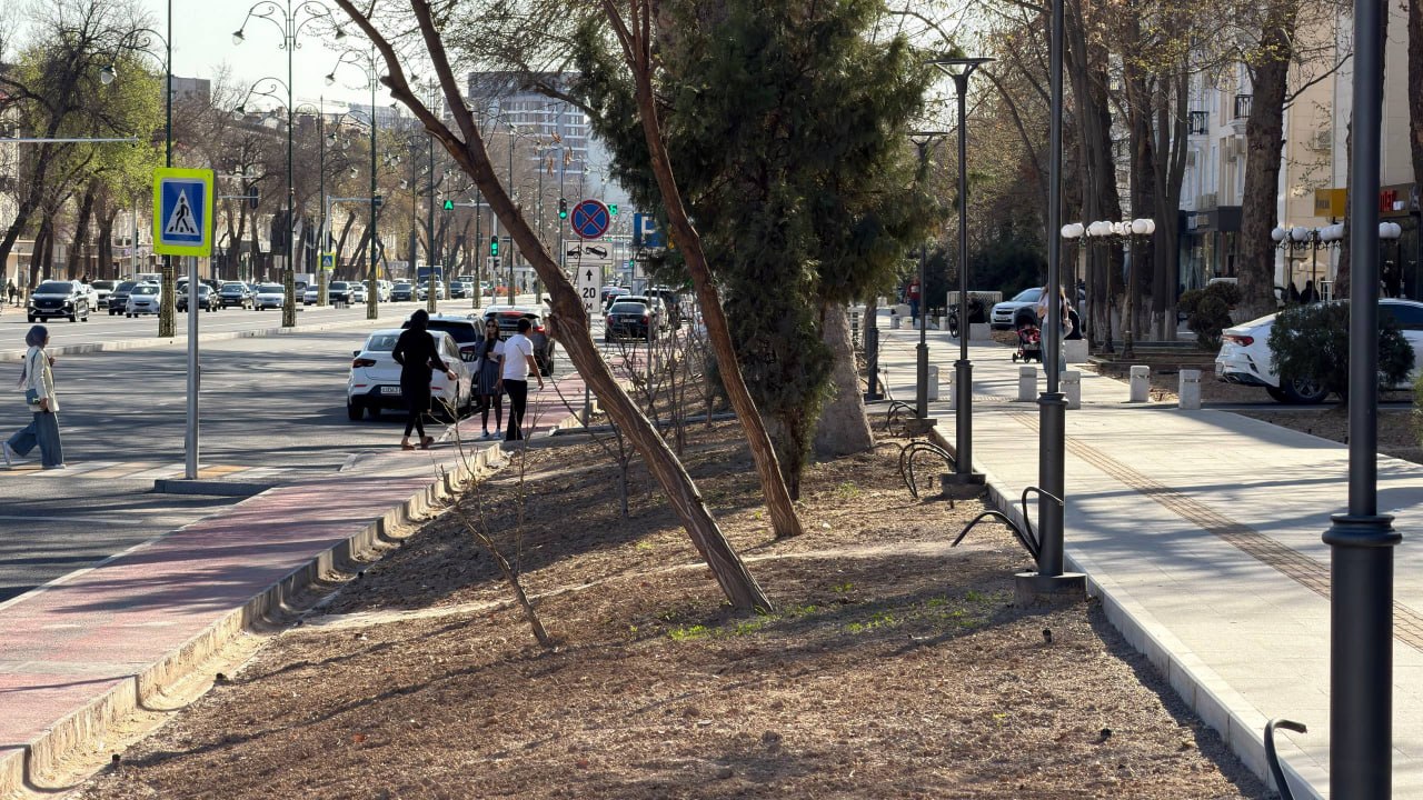 Погода решила не скучать на выходных: сначала почти лето, потом дождь и ветер