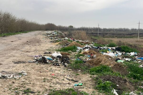 Выбросил мусор, заплатишь как за новый телефон: в Узбекистане резко подняли штрафы