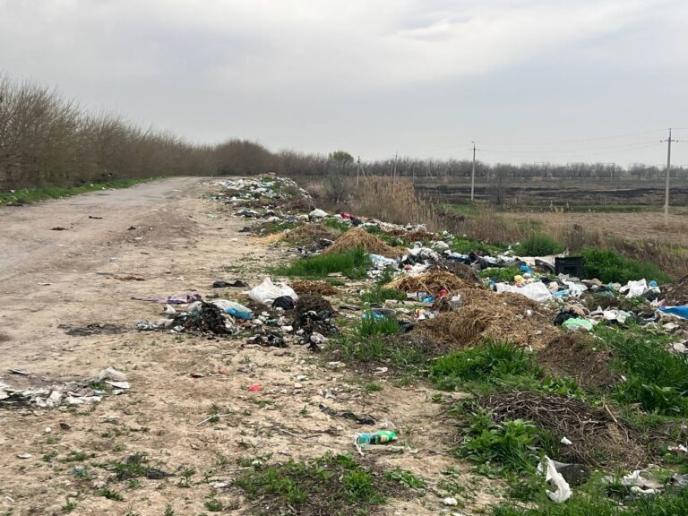 Выбросил мусор, заплатишь как за новый телефон: в Узбекистане резко подняли штрафы