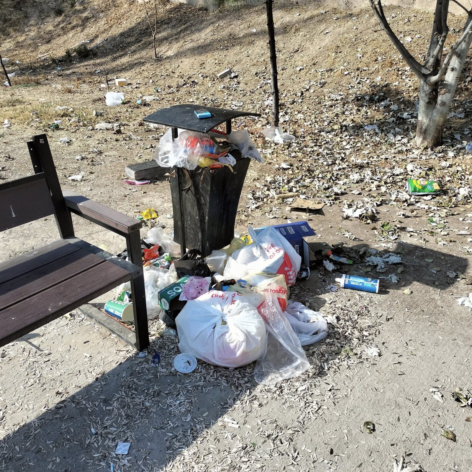 Штраф как абонемент: в Ташкенте нашли «рецидивистов по мусору»