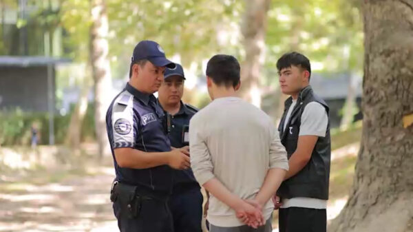 Покажите сумку: когда это законно, а когда уже перебор