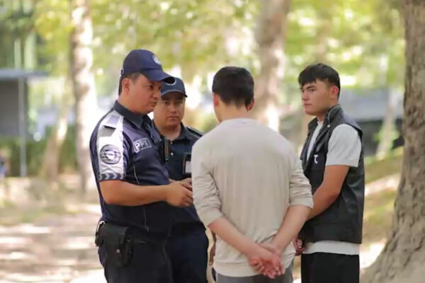 Покажите сумку: когда это законно, а когда уже перебор