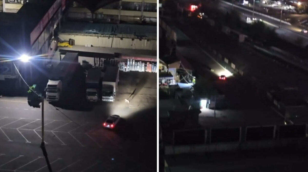 Ночная «охота» на собак в Ташкенте: сторожа одного из рынков решили развлечься на парковке