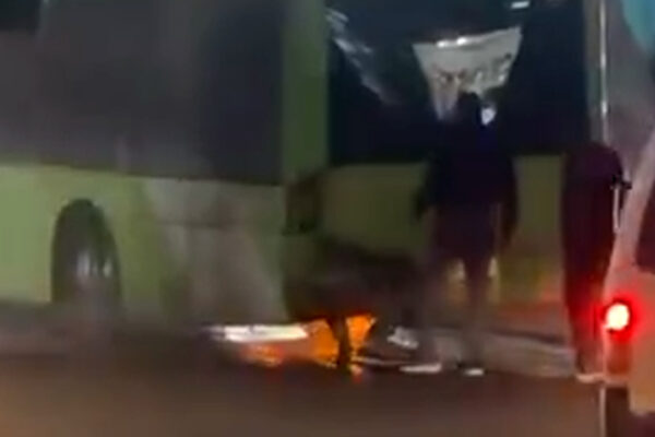 Два автобуса за сутки: в Ташкенте снова загорелся Mercedes-Benz