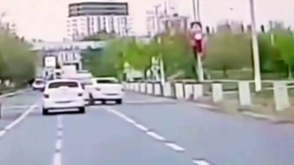 Сын с температурой – повод лететь на красный? Правоохранители нашли водителя, едва не сбившего женщину с ребёнком на пешеходном переходе