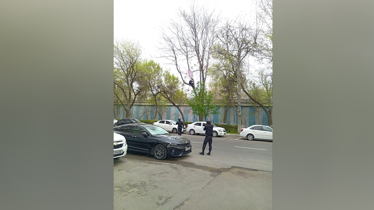 Чтобы тебя услышали – лезь на дерево? В Ташкенте мужчина устроил необычный перформанс у Верховного суда