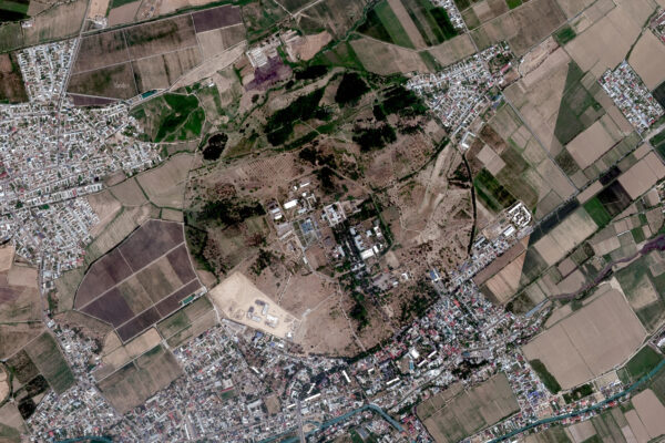 190 гектаров в Ташкенте «отдали просто так»? Власти объясняют: будет дендропарк. Горожане не спешат верить