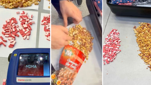 35 долларов за проблемы: как «помощь с багажом» превращается в уголовное дело