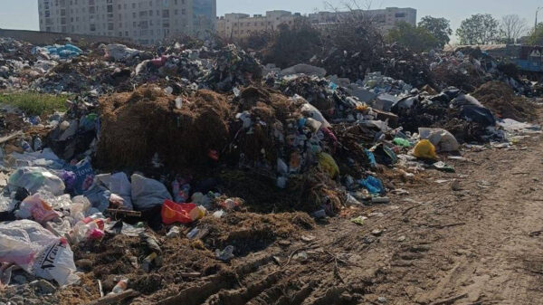 Мусорный круговорот: в Ташкенте свалку устроили те, кто должен её убирать