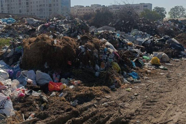 Мусорный круговорот: в Ташкенте свалку устроили те, кто должен её убирать