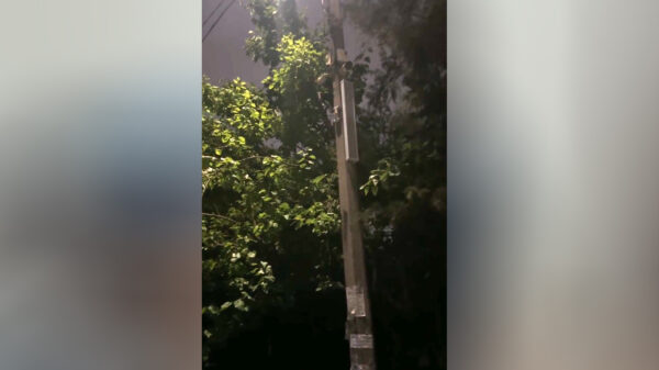 «Ахборот опа» не спит: в Ташкенте на столбах заговорили колонки