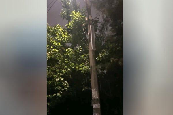 «Ахборот опа» не спит: в Ташкенте на столбах заговорили колонки