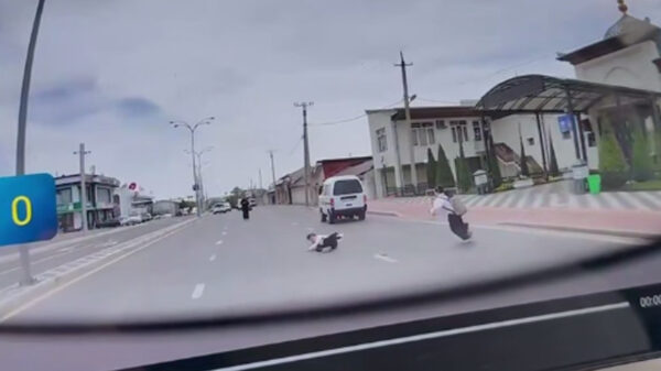 Сбил и уехал: в Ташкенте водитель «Дамаса» задел школьника и скрылся