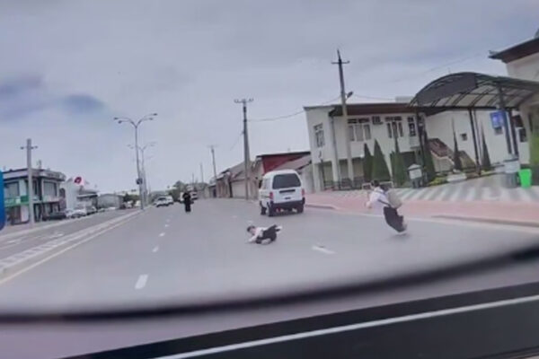 Сбил и уехал: в Ташкенте водитель «Дамаса» задел школьника и скрылся