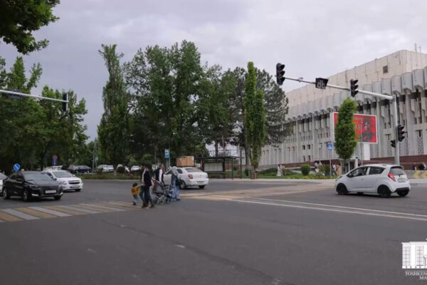 «Зебра с мозгами»: у дворца «Дружбы народов» наконец-то сделали нормальный пешеходный переход