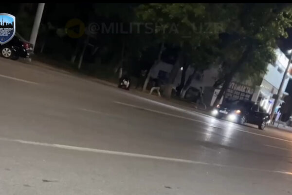 Ночная экономика по-ташкентски: в Учтепе парни устроили массовую драку и объяснили всё «недопониманием»