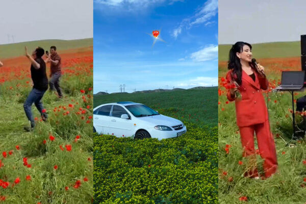От дрифта к дискотеке: в Кашкадарье устроили рейв прямо на цветочном поле
