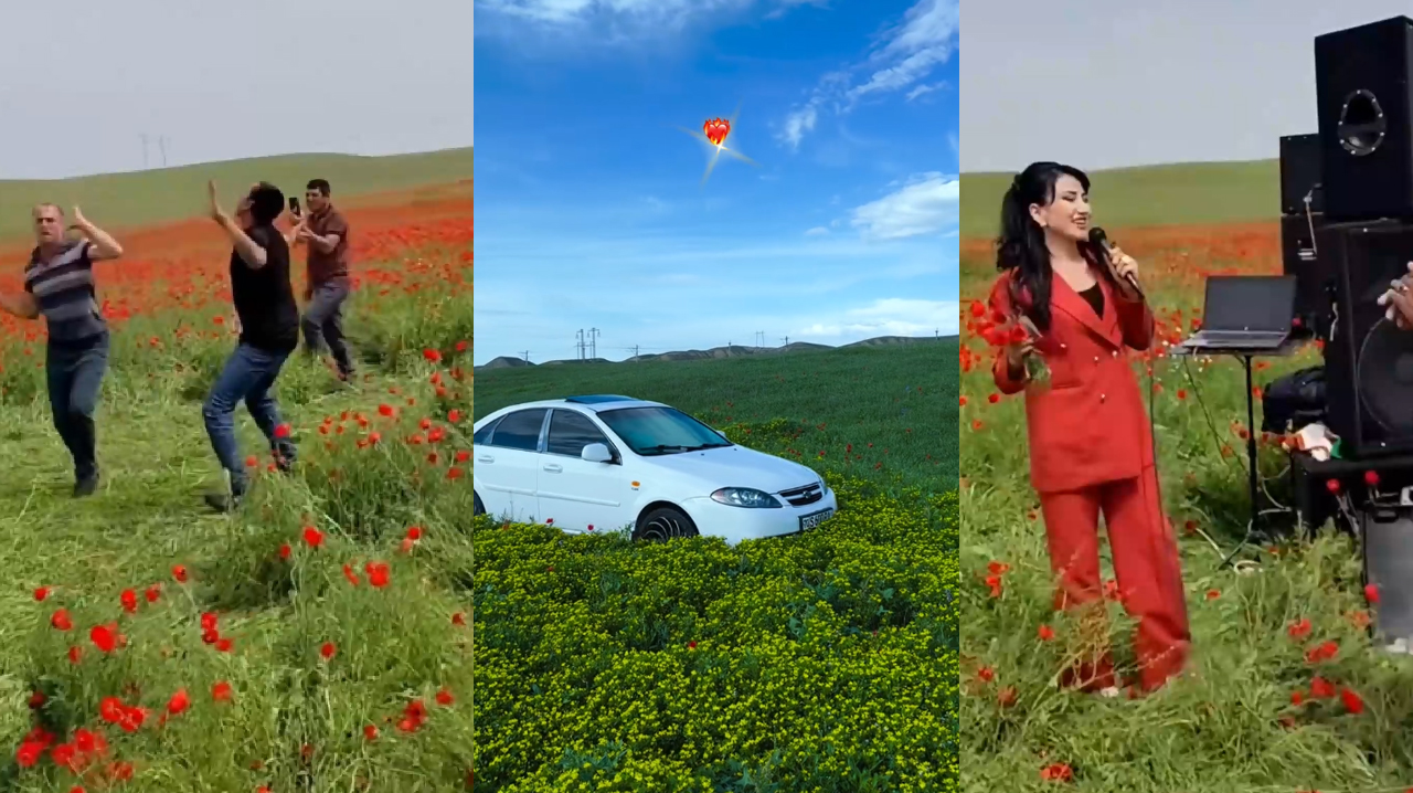 От дрифта к дискотеке: в Кашкадарье устроили рейв прямо на цветочном поле