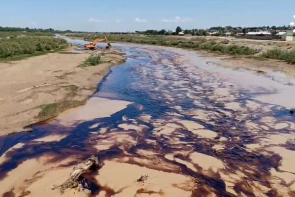 Нефть в реке: в Сурхандарье разбираются с тревожным видео загрязнения окружающей среды