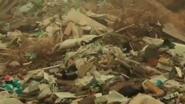 Чарвак устал от стройки: власти начали рейды против строительного мусора, выявлено уже свыше сотни нарушений