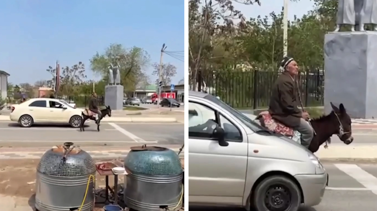 Когда ослик дисциплинированнее водителей: в Джизаке дедушка стал героем интернета