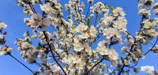 Погода на выходные: немного солнца, немного дождя