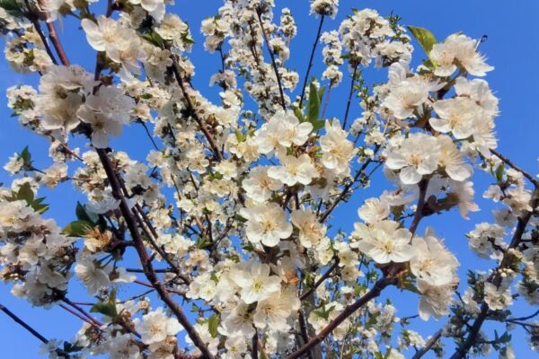 Погода на выходные: немного солнца, немного дождя