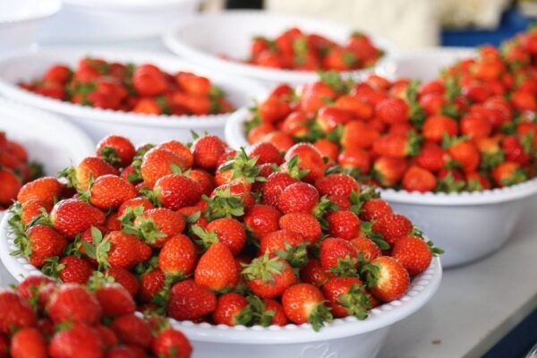 Сезон клубники открыт. Но есть нюанс: СЭС советует не есть её «как есть»