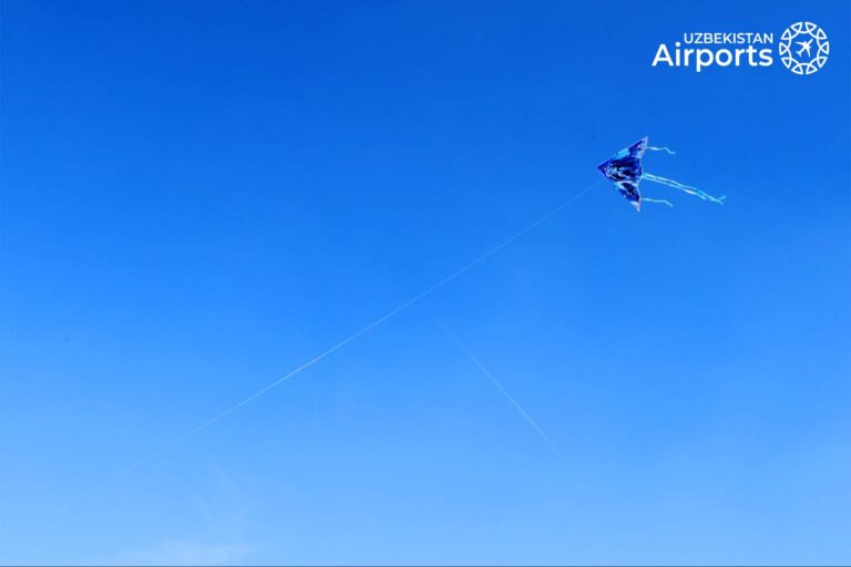 А вы знали, что за запуск воздушного змея можно получить штраф, арест и даже уголовку?