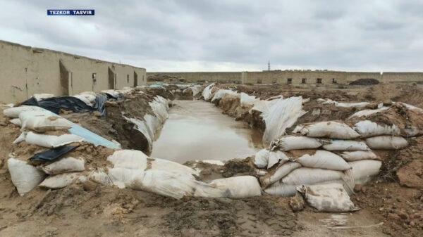 Птицеферма превратилась в золотой завод: силовики задержали две преступные группы, занимавшиеся добычей золота Птицеферма превратилась в золотой завод: силовики задержали две преступные группы, занимавшиеся добычей золота