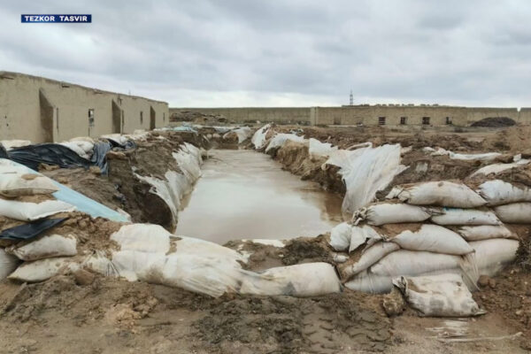 Птицеферма превратилась в золотой завод: силовики задержали две преступные группы, занимавшиеся добычей золота Птицеферма превратилась в золотой завод: силовики задержали две преступные группы, занимавшиеся добычей золота