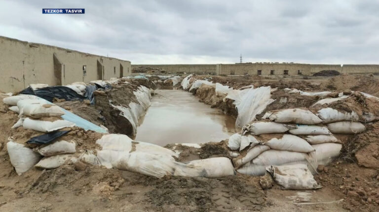 Птицеферма превратилась в золотой завод: силовики задержали две преступные группы, занимавшиеся добычей золота