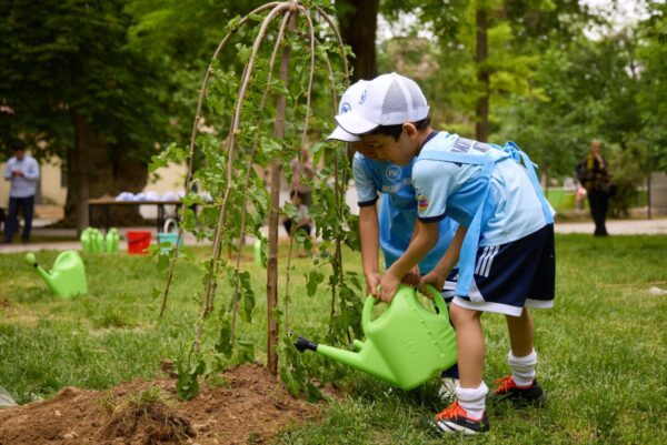 Жара идёт по плану: синоптики обещают до +35