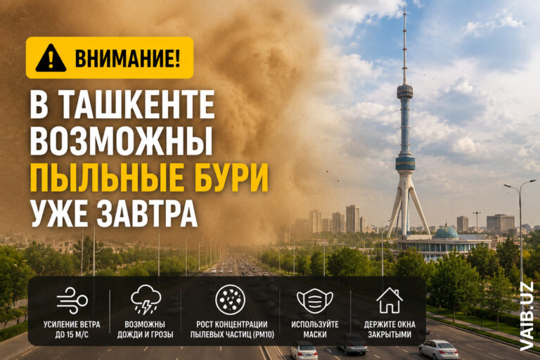 Ташкент накроет пылью? Власти предупредили о возможных пыльных бурях уже завтра
