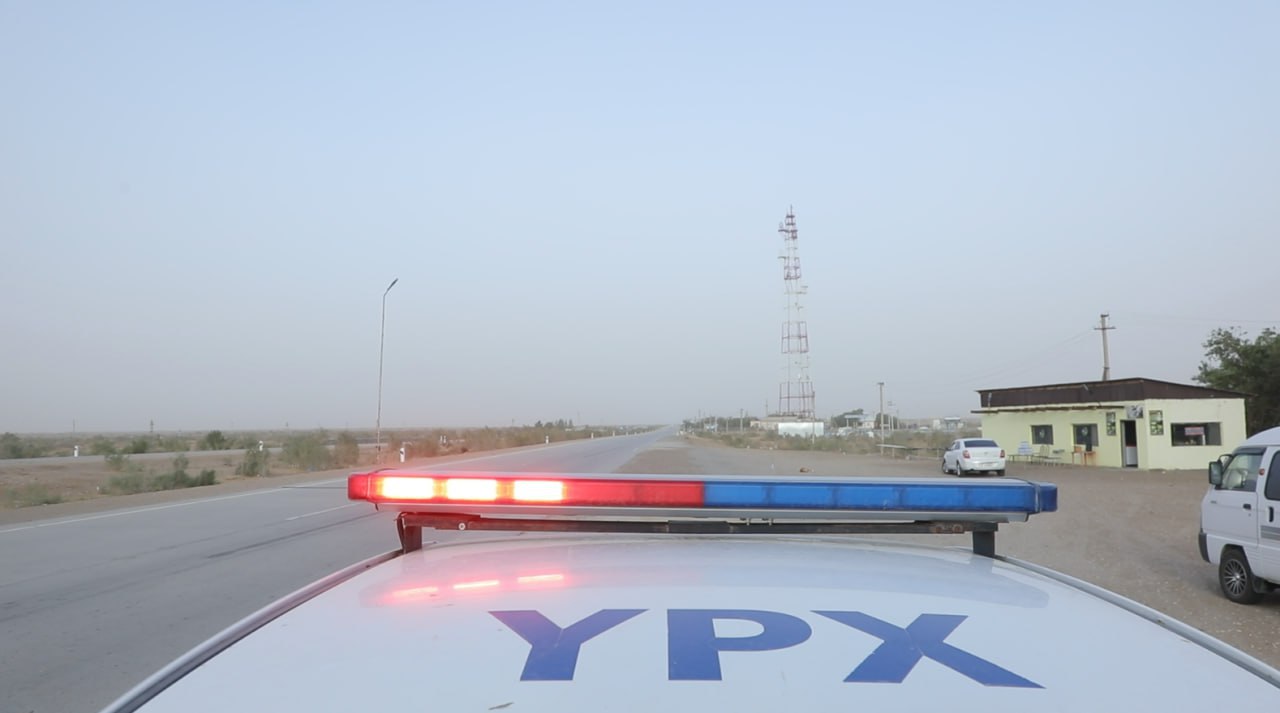 Не верил, но проверил: водитель в Ташкенте набрал 12,5 штрафных балла за месяц и теперь лишится прав