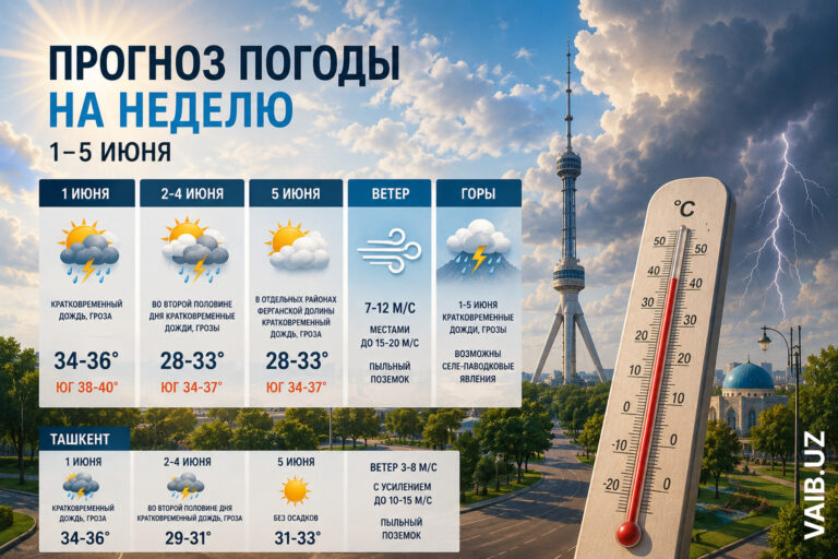 Узбекистанцев ждут дожди, грозы, пыль и жара. Синоптики рассказали, какой будет погода на неделе
