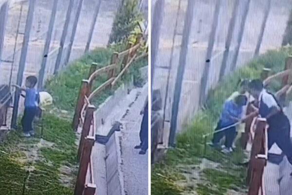 В Ташкентском зоопарке снова отличились родители. Дети полезли к пони, а виноватым чуть не сделали животное