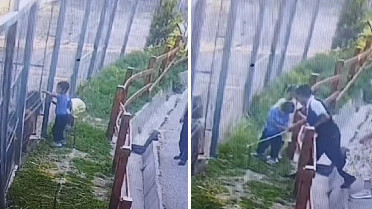 В Ташкентском зоопарке снова отличились родители. Дети полезли к пони, а виноватым чуть не сделали животное