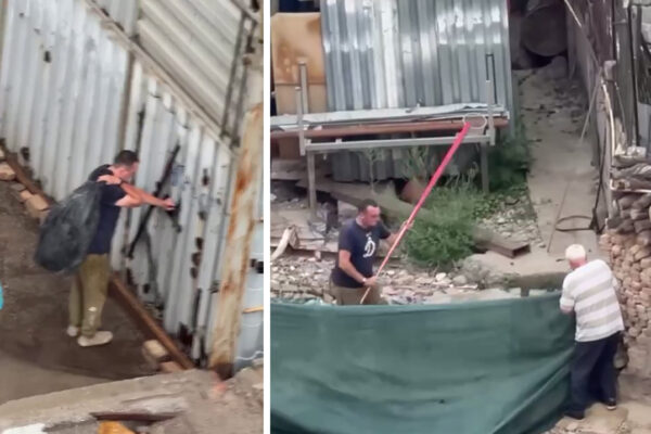 На глазах у людей собак забили палками до смерти. В Ташкенте разгорается скандал вокруг жестокого обращения с животными На глазах у людей собак забили палками до смерти. В Ташкенте разгорается скандал вокруг жестокого обращения с животными